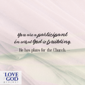 participant_in_what_God_is_building